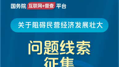 暗网日皮视频免费在线看国务院“互联网+督查”平台公开征集阻碍民营经济发展壮大问题线索